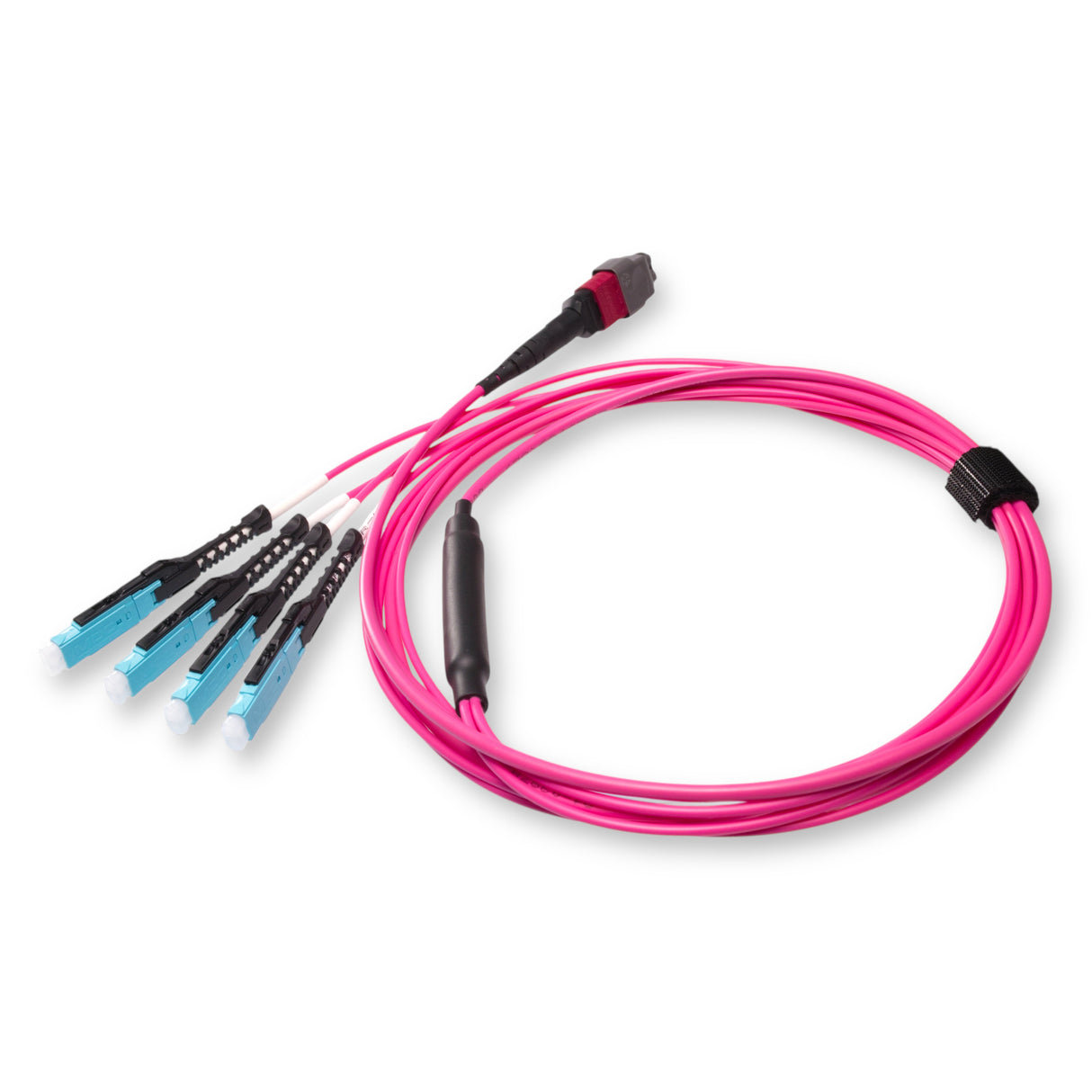 8-Fiber Non-Pinned MTP/UPC to  4 x MDC/UPC Fanout Cable | Corning® ClearCurve® OM4 Multimode Optical Fiber | Type B, Magenta MTP Connector, Aqua MDC Connector, Magenta Cable Jacket | OFNP Jacket