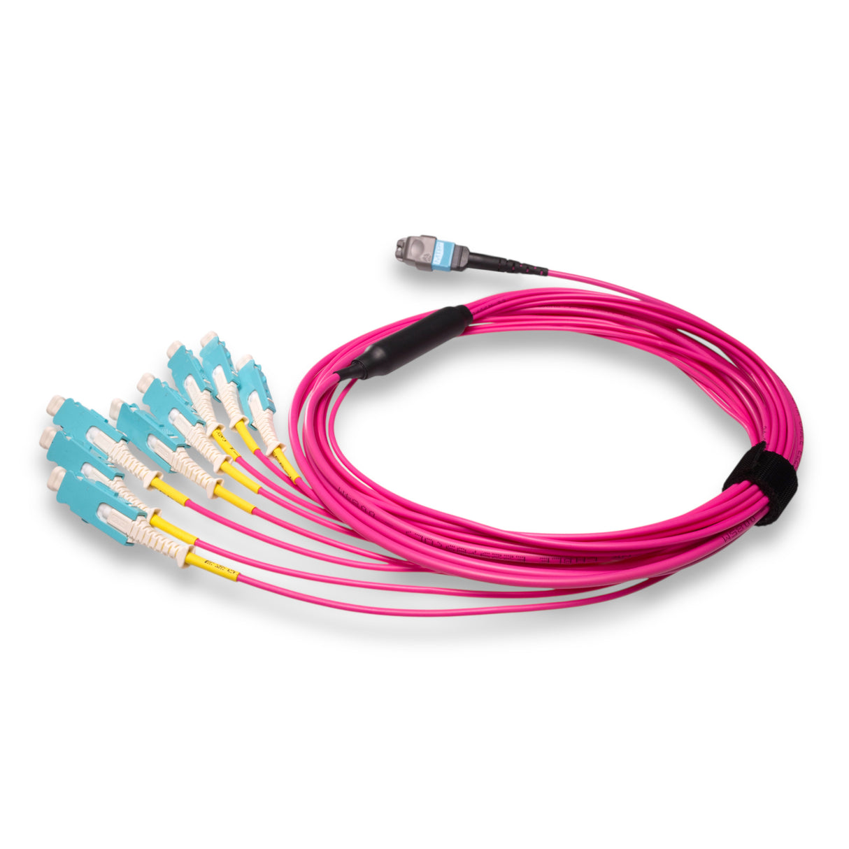 16-Fiber Non-Pinned MTP/UPC to  8 x SN/UPC Fanout Cable | Corning® ClearCurve® OM4 Multimode Optical Fiber | Crossover, Aqua MTP Connector, Aqua SN Connector, Magenta Cable Jacket | OFNP Jacket