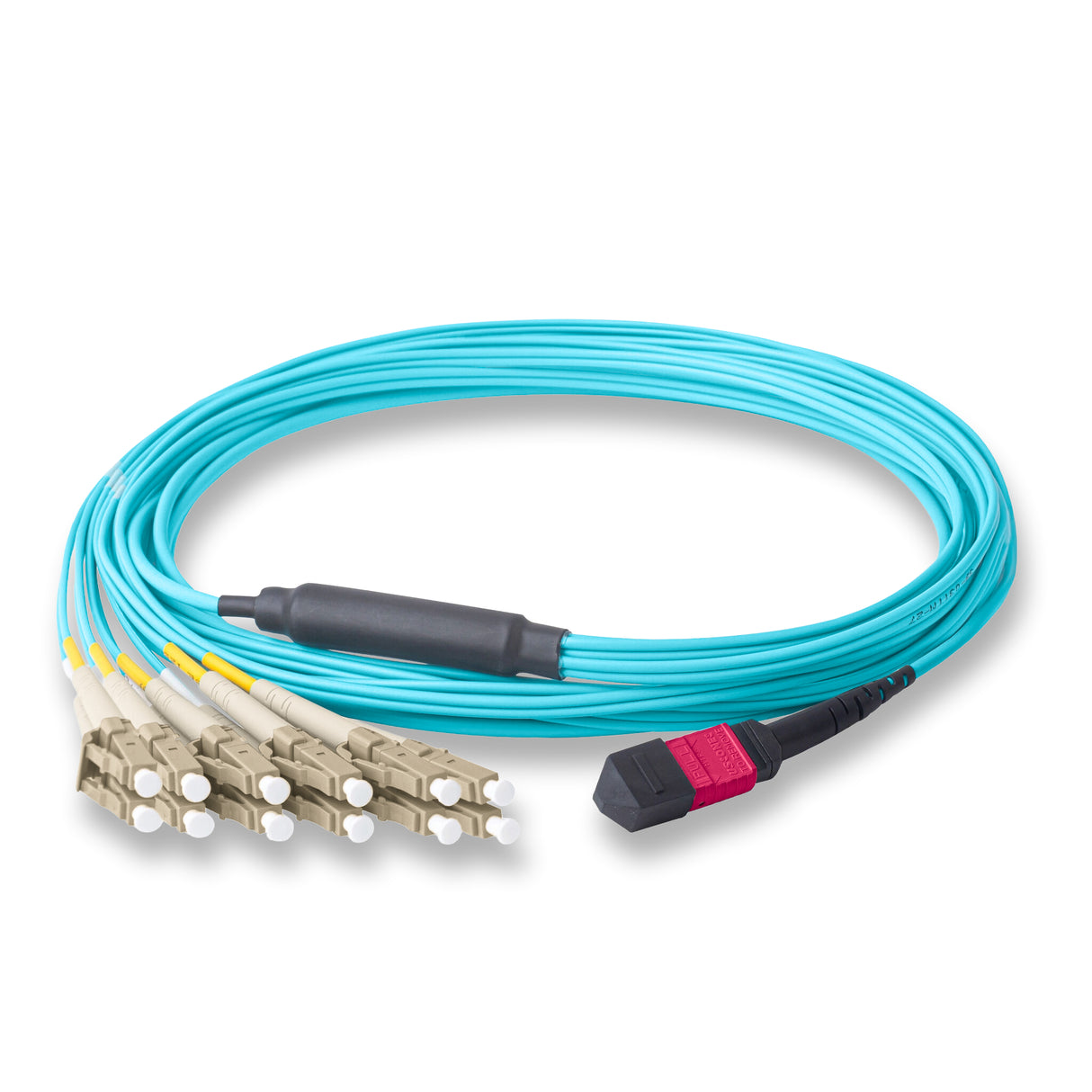 12-Fiber Elite Non-Pinned MTP/UPC to 6 x LC/UPC Duplex QSFP Type Breakout Cable | Corning ClearCurve OM4 Multimode Optical Fiber | Type B, Magenta MTP Connector, Beige LC Connector, Aqua OFNP Cable Jacket