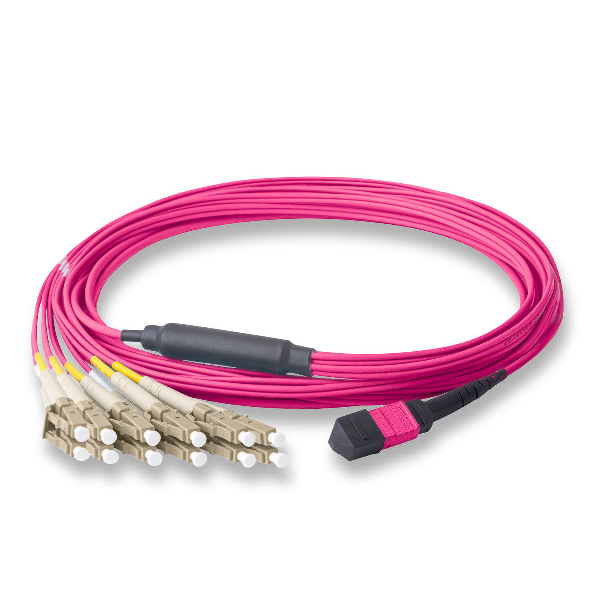 12-Fiber Elite Non-Pinned MTP/UPC to 6 x LC/UPC Duplex QSFP Type Breakout Cable | Corning ClearCurve OM4 Multimode Optical Fiber | Type B, Magenta MTP Connector, Beige LC Connector, Magenta OFNP Cable Jacket