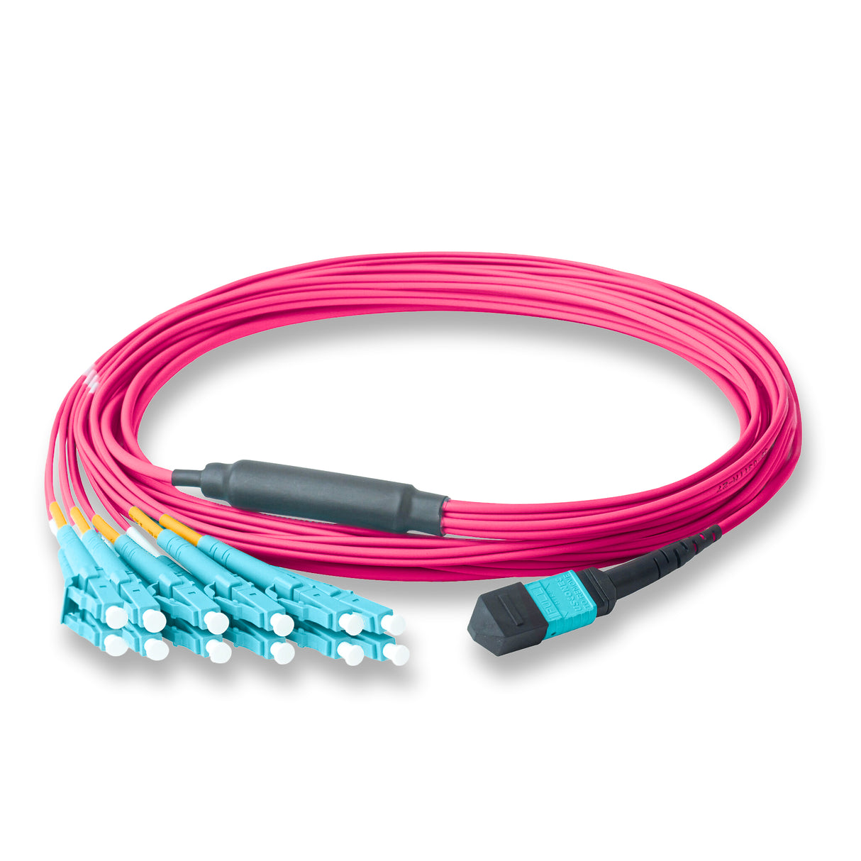 12-Fiber Elite Non-Pinned MTP/UPC to 6 x LC/UPC Duplex QSFP Type Breakout Cable | Corning ClearCurve OM4 Multimode Optical Fiber | Type B, Aqua MTP Connector, Aqua LC Connector, Magenta OFNP Cable Jacket