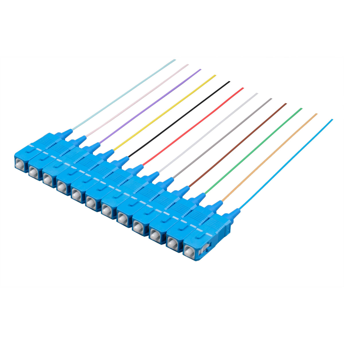 SC/UPC 12-Fiber 900µm Ribbon Fiber Optic Pigtail | Corning SMF-28 Ultra Fiber | OS1/OS2 Compatible | Single-Mode