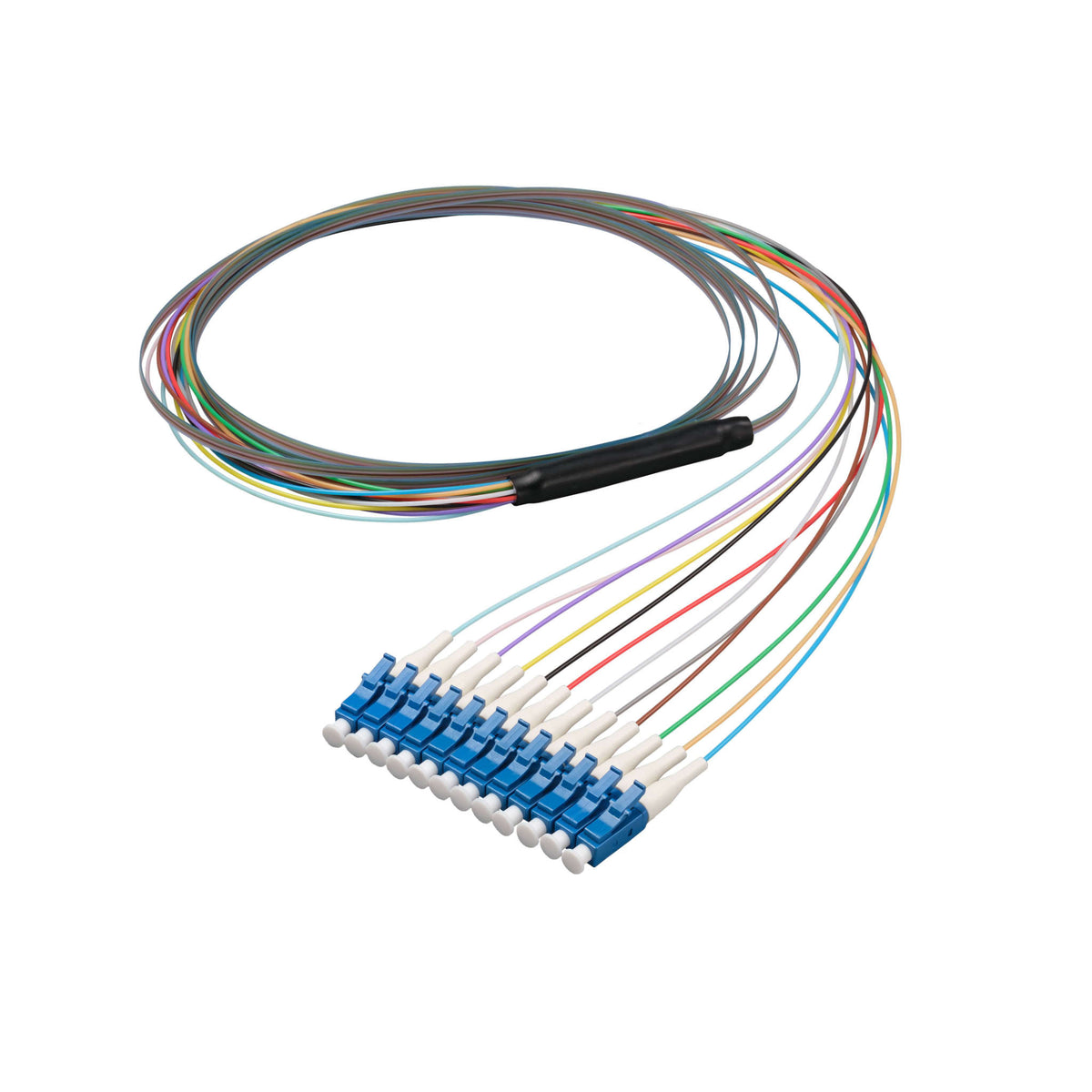 LC/UPC 12-Fiber 900µm Ribbon Fiber Optic Pigtail | Corning SMF-28 Ultra Fiber | OS1/OS2 Compatible | Single-Mode