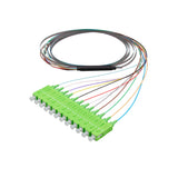 SC/APC 12-Fiber 900µm Ribbon Fiber Optic Pigtail | Corning SMF-28 Ultra Fiber | OS1/OS2 Compatible | Single-Mode