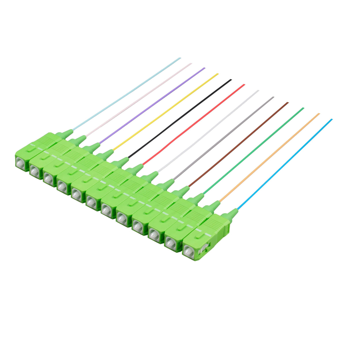 SC/APC 12-Fiber 900µm Ribbon Fiber Optic Pigtail | Corning SMF-28 Ultra Fiber | OS1/OS2 Compatible | Single-Mode