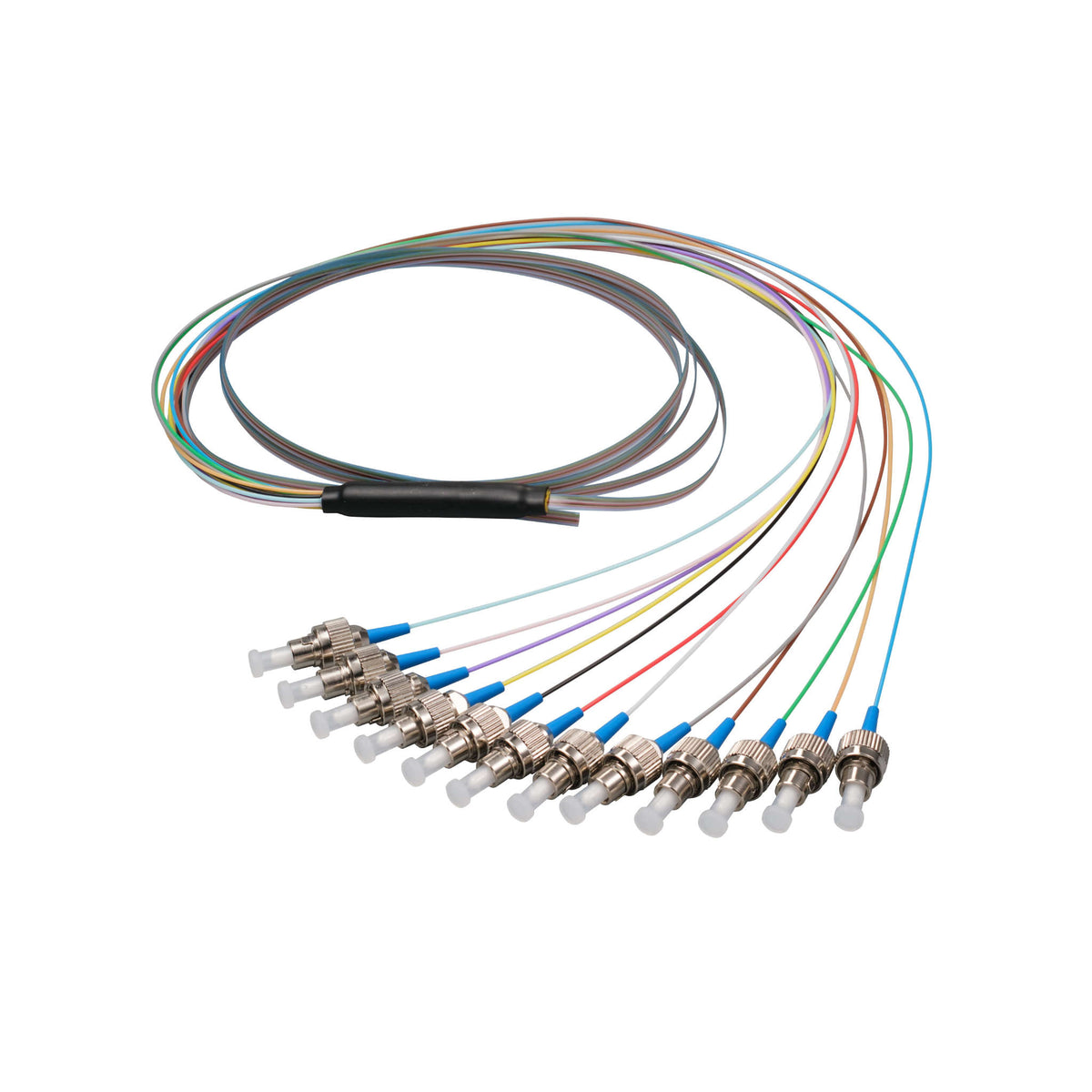 FC/UPC 12-Fiber 900µm Ribbon Fiber Optic Pigtail | Corning SMF-28 Ultra Fiber | OS1/OS2 Compatible | Single-Mode