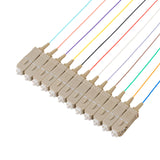 SC 12-Fiber 900µm Fiber Optic Pigtail | Corning ClearCurve OM4 | Multimode