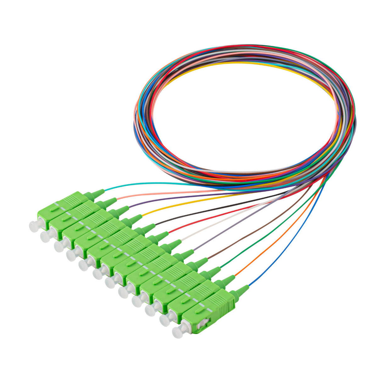 SC/APC 12-Fiber 900µm Fiber Optic Pigtail | Corning SMF-28 Ultra Fiber | OS1/OS2 Compatible | Single-mode