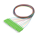 SC/APC 12-Fiber 900µm Fiber Optic Pigtail | Corning SMF-28 Ultra Fiber | OS1/OS2 Compatible | Single-mode