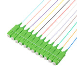 SC/APC 12-Fiber 900µm Fiber Optic Pigtail | Corning SMF-28 Ultra Fiber | OS1/OS2 Compatible | Single-mode
